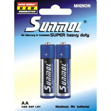 1.5V UM3 AA Size R6_B2PB Battery
