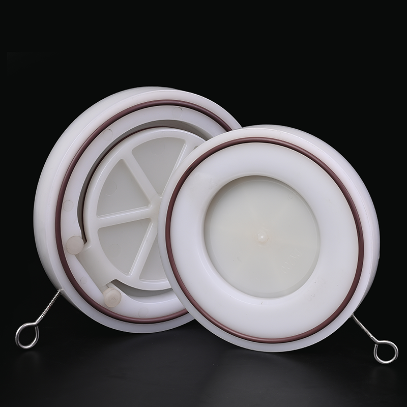 din-standard-pvdf-wafer-check-valve.jpg