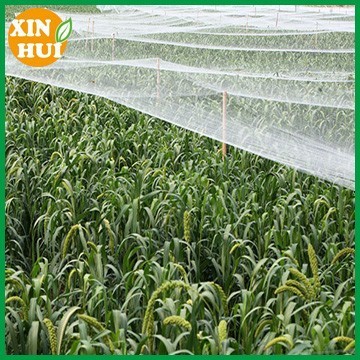 china manufacturer anti bird net to catch bird