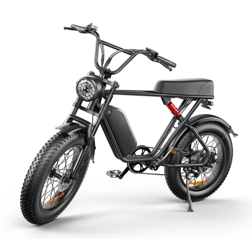 C91adulut Model 26 Inch Electric Mountain Bikes