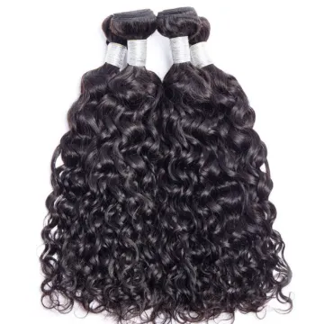 Brazilian Water Wave Virgin Hair Bundles With Closure