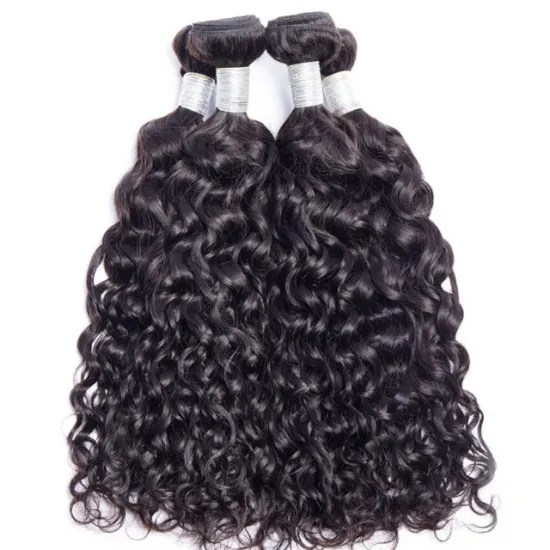 Brazilian Water Wave Virgin Hair Bundles With Closure