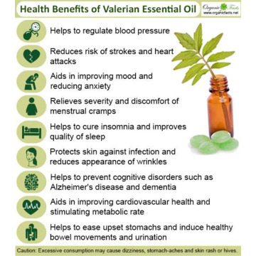 wholesale premium valerian essential oil for medical use