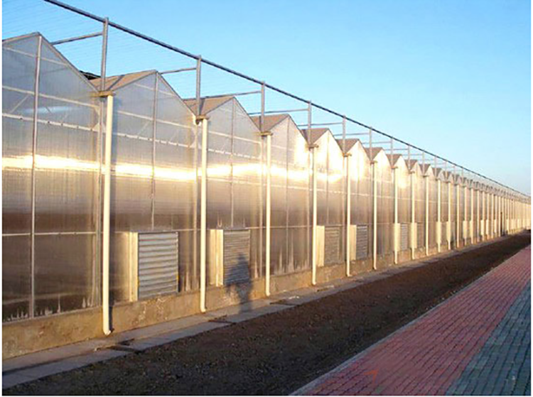 Multi-Span Agricultural Greenhouses