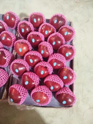 New season tianshui huaniu apple price to bangladesh