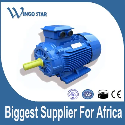 Asynchronous small electric motors