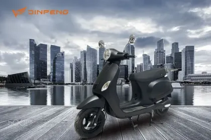 Electric Scooter Lead Acid Battery FJ" could be refined to:

"FJ Electric Scooter Lead Acid Battery" 

This title keeps the key elements and would be suitable for a search engine query.
