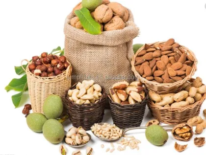 Walnut Kernel Oil Processing Machine Oil Press Machine