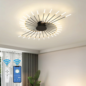 OEM Kedatangan Baru Retro Akrilik Lampu Langit LED Modern - Lampu Langit LED Kembang Api