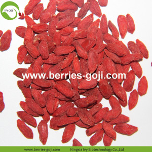 새로운 도착 슈퍼 음식 말린 Wolfberry Goji