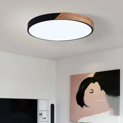 Colorful LED Ceiling Light for Living Room