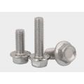 Hexagonal Cap Screws And Hexagonal Bolts