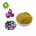 Plum Extract Powder Fruit Vegetable Powder