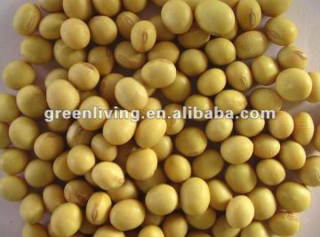 china non-GMO soybeans with high quality in bulk                        
                                                Quality Choice