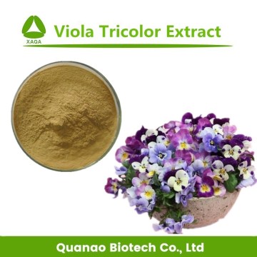 Extracto de Pansy Natural Viola Tricolor Extracto Polvo