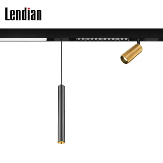 Modern 48V Magnet Spotlight System Gold Curve WiFi Tuya LED Magnetic Recessed Track Lights