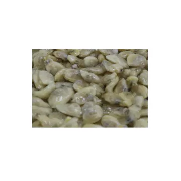 Good quality frozen boiled short necked clam