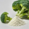 CNCSBIO bulk sulforaphane powder