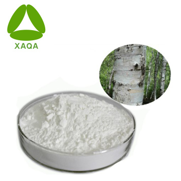 Birch Bark Extract Powder Betulin 50% 98%