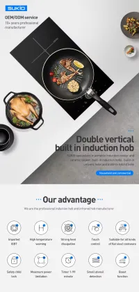 China Custom Smart Home Infrared Induction Cooker