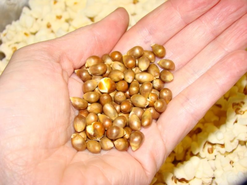 Popcorn Machine Factory Direct Sales Classic-style Healthy Snacks Smart Popcorn Maker Popcorn Machine