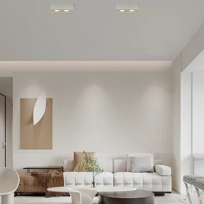 surface downlight with fast-fit bracket