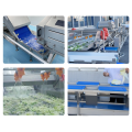 Industrial Fruit and Vegetable Processing Production