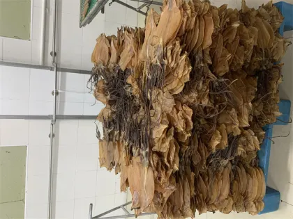 seafood frozen bulk dried smoked squid