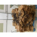 /msite/products/detail/productid/63195393/id/1343744.html