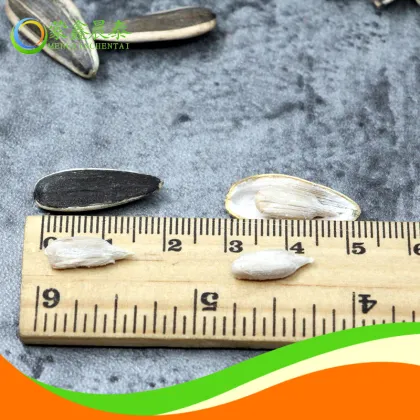 sun flower seeds 361