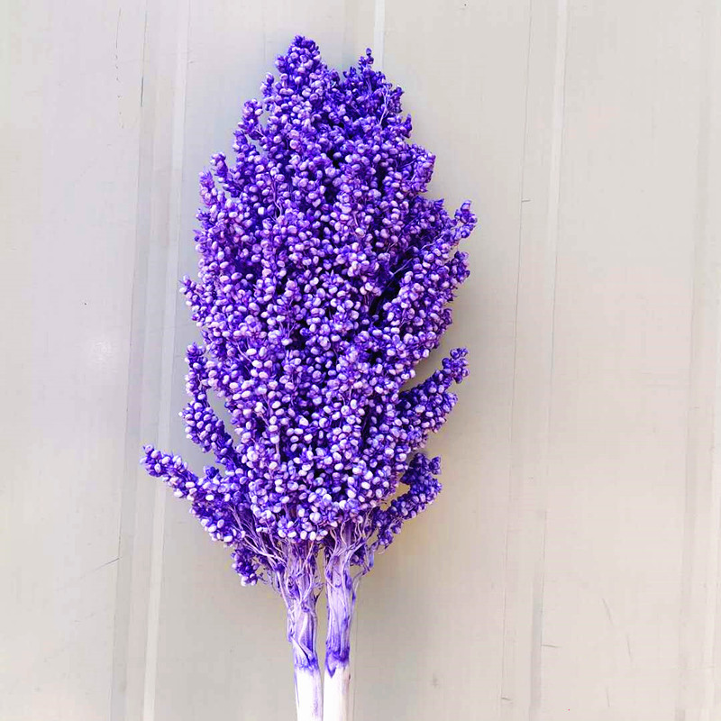 About 50cm Natural Dried Flowers Bouquet Sorghum Ear Home Living Room Wedding Party Decoration Preserved Spike Shooting Props