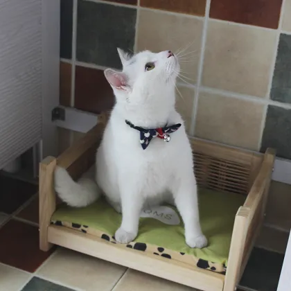 Elevated Wooden Pet Nest Dog Pet Bed