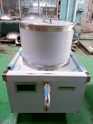Induction Soup Boiler: Commercial Solution for Large Capacity Cooking