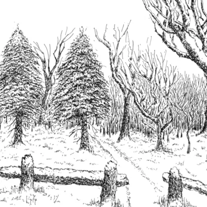 Winter spirit of pen and ink painting