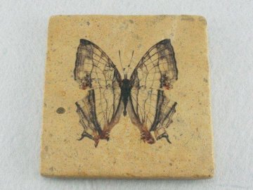 30584 slate coaster