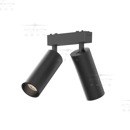 Magnetic Double Headed Spotlight