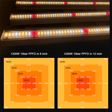 Luz LED OEM Grow 1200W 660 nm Luz roja