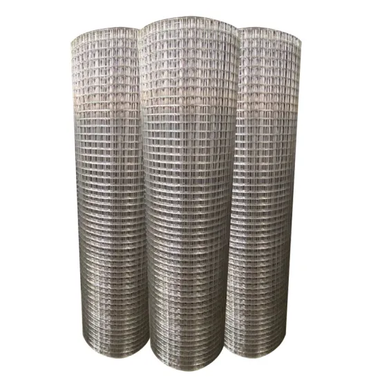 Stainless Steel Galvanized Welded Wire Mesh: Rolls & Panels