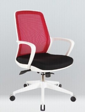 Full Painting Structure Mesh Chair