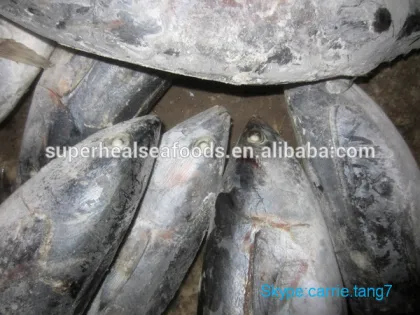 750up Ocean Bonito Whole Round