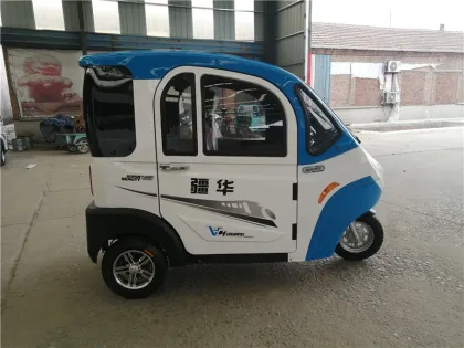 Lithium electric vehicle Lead acid electric vehicle