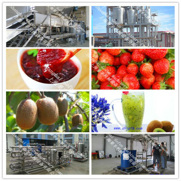 the professional supplier for fruit jam production line