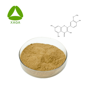 24% Flavone 6% Lactone Ginkgo Biloba Extract Powder