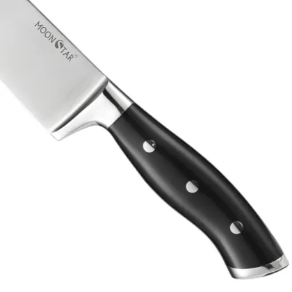 8 Inch Chef Knife Stainless Steel Culinary Kitchen Knife with ABS Handle