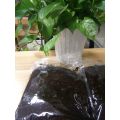 Organic Black Garlic Paste with 500g