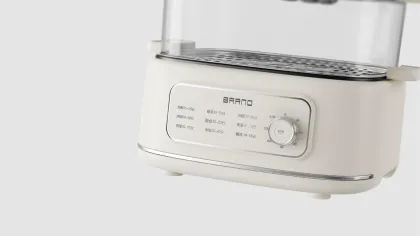 Wholesale Custom Double Layer Electric Food Steamer Multi-Functional Cooker