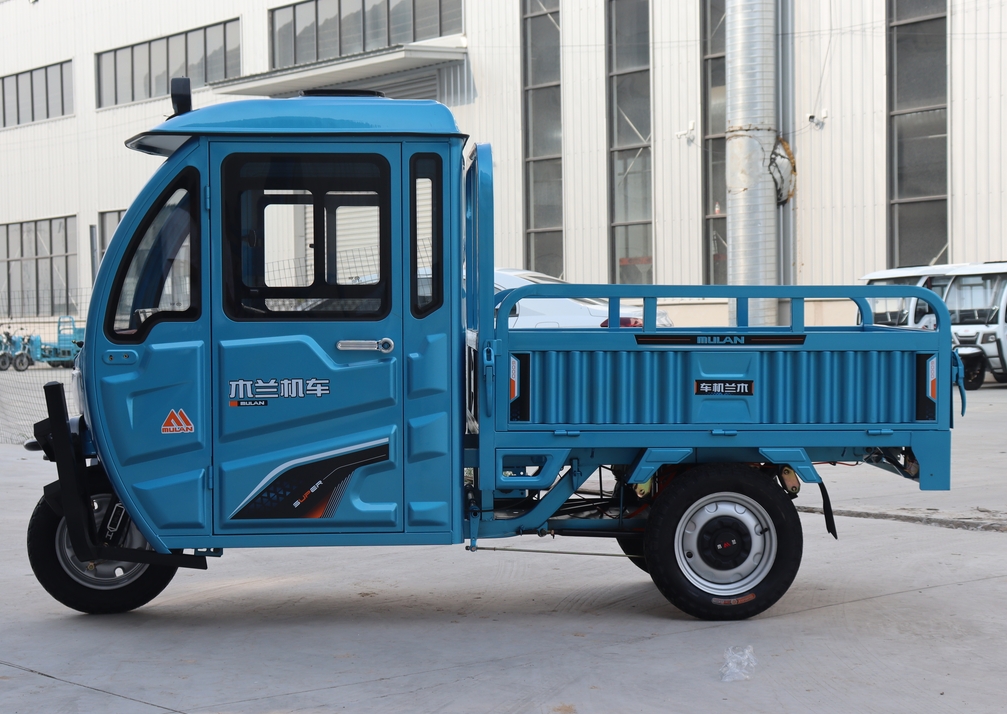 Cargo Electric Tricycle