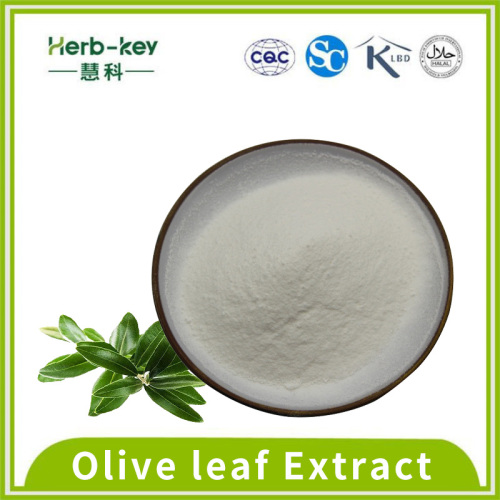 Extracto de hoja de oliva de ácido olivo de ácido oleanólico 90% de alta pureza