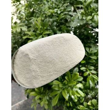 Rice Protein Organic Rice Protein Powder 70% Feed Ingredients Manufactory