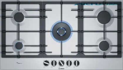 Bosch Lpg Stainless Steel Cast Iron GasStove